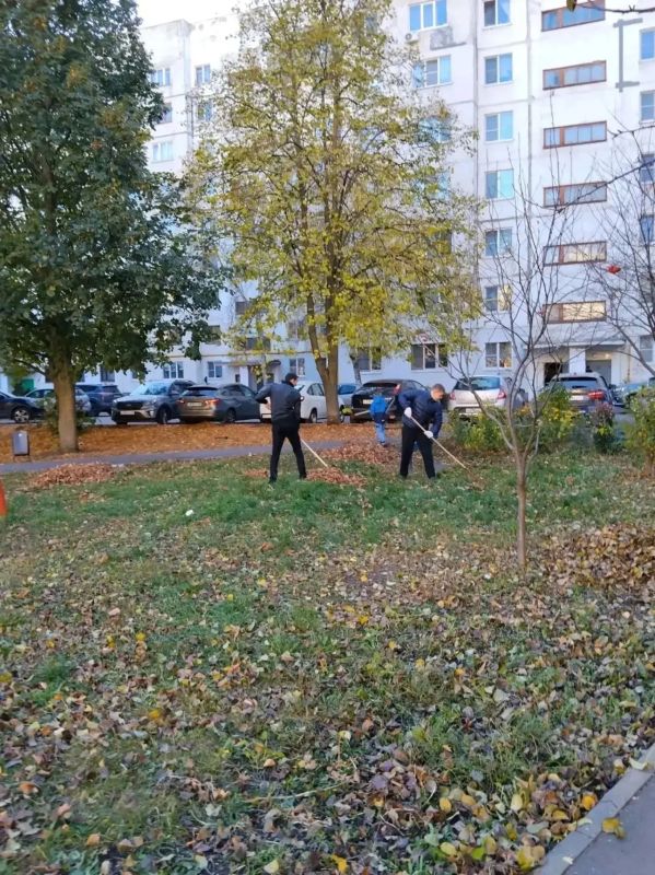 Субботники объединяют: жители Тамбова наводят порядок во дворах Субботники объединяют: жители Тамбова наводят порядок во дворах