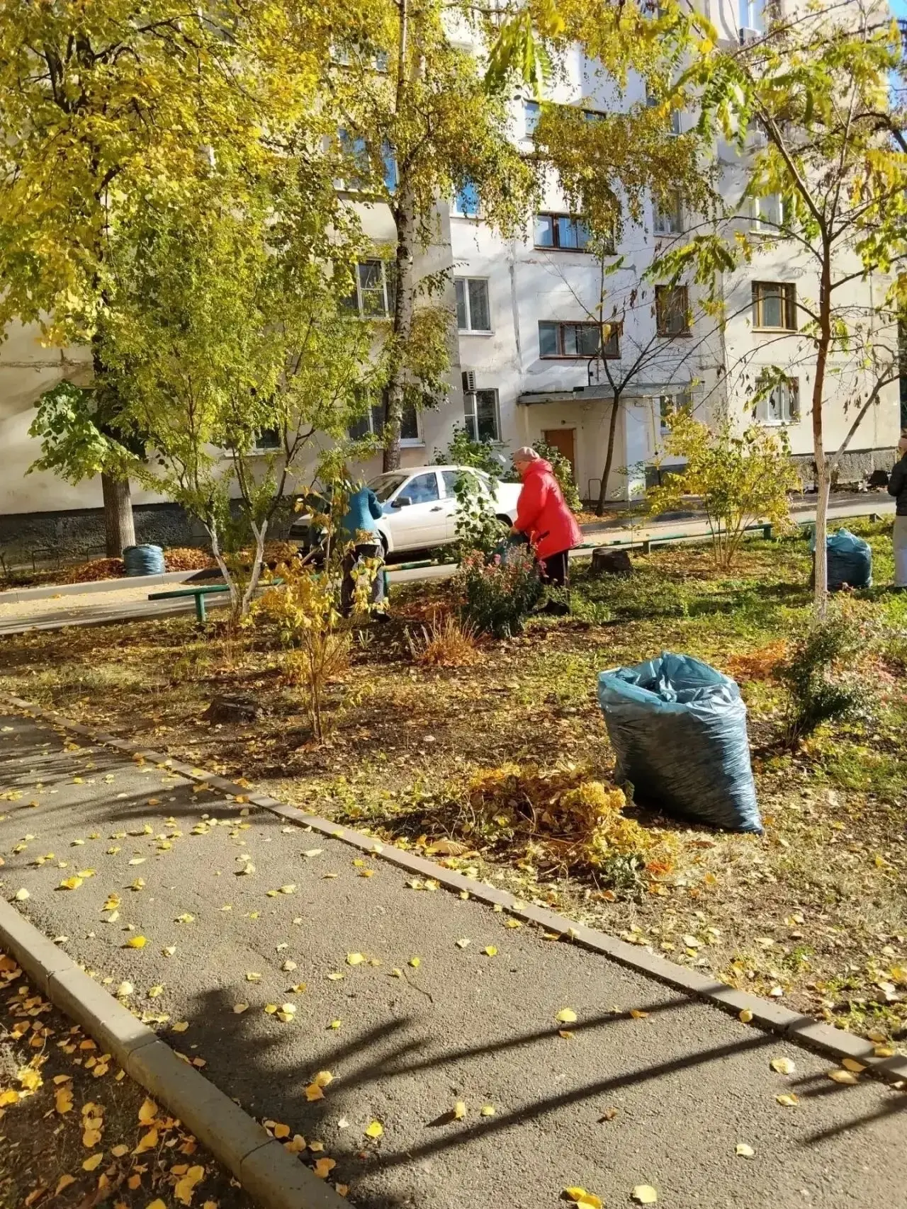 Субботники объединяют: жители Тамбова наводят порядок во дворах